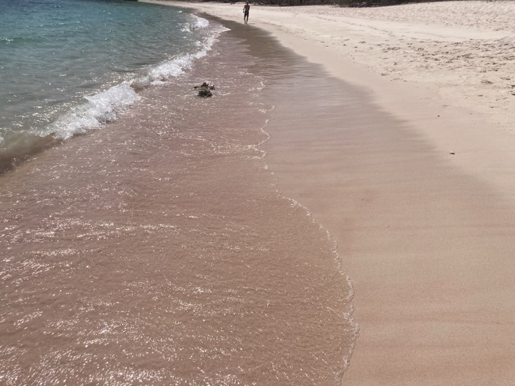 Pink Beach Komodo Island