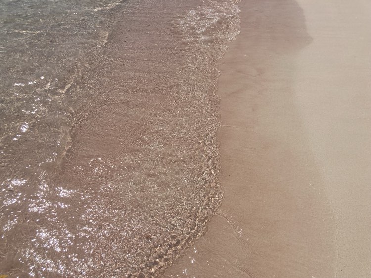 Pink Beach Komodo Island