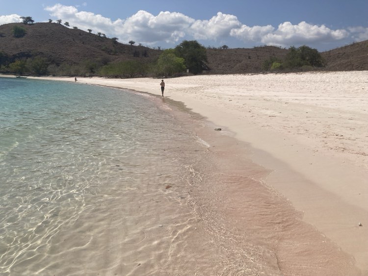 Pink Beach Komodo Island